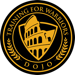 Training for warriors dojo